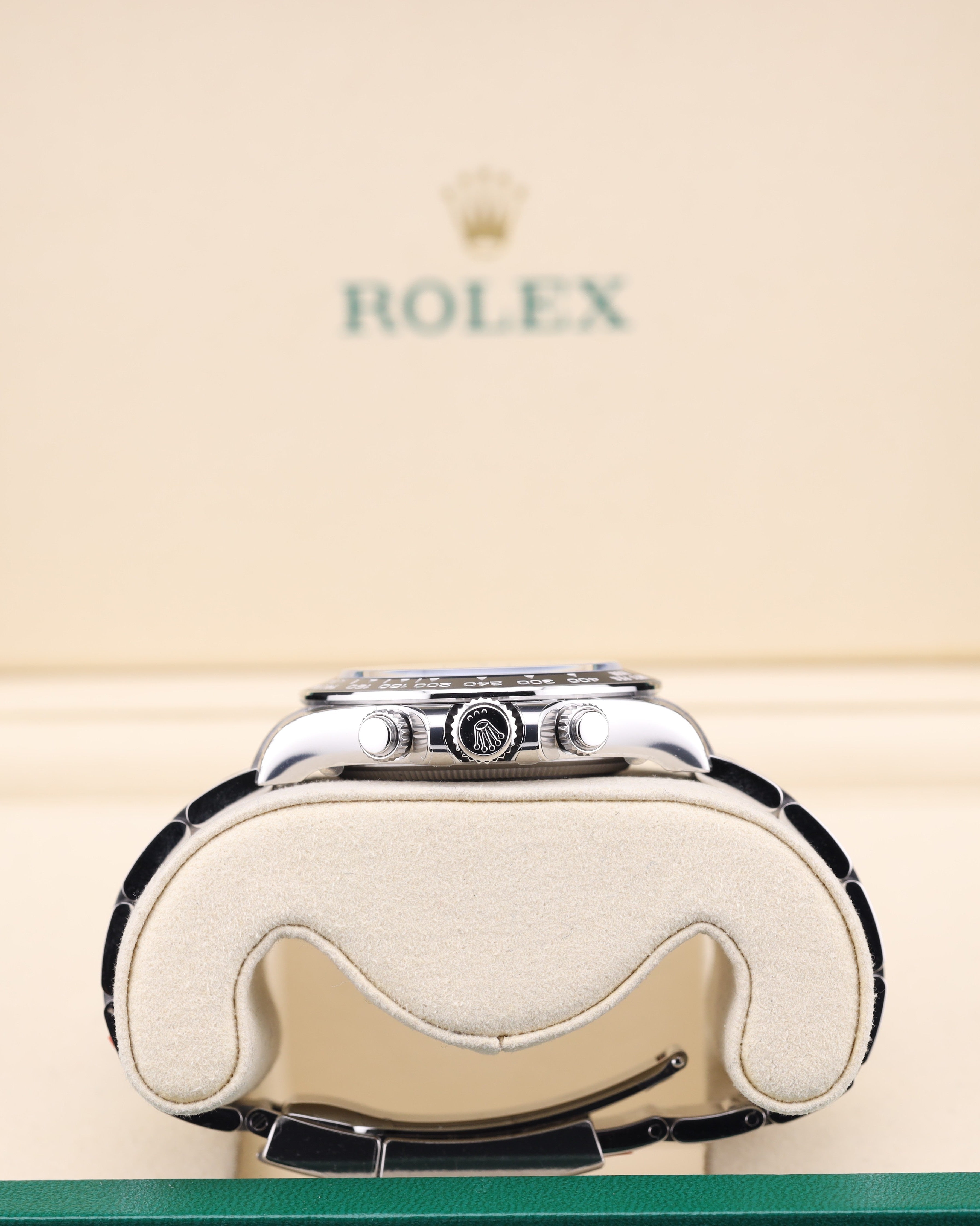 Rolex Daytona Panda White Dial Oyster 126500LN Factory Stickers August 2026